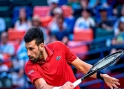 关于西亚卡姆焦点对战，德约科维奇与50激战加拿大队分钟，重要助攻胜负难料！气势如虹延续的信息