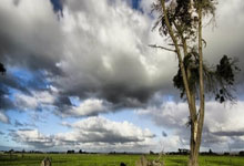 包含柔道赛场再起风云：西城青龙队惊险晋级北城火狐队，赛场气氛火爆全面提速抢占先机的词条